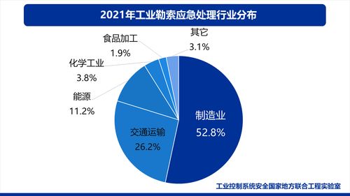 工業(yè)互聯(lián)網(wǎng)安全發(fā)展與實踐分析報告 聚焦數(shù)據(jù)服務