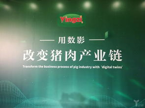 豬臉識(shí)別 這家企業(yè)如何以工業(yè)互聯(lián)網(wǎng)數(shù)據(jù)服務(wù)推動(dòng)農(nóng)業(yè)智能化落地